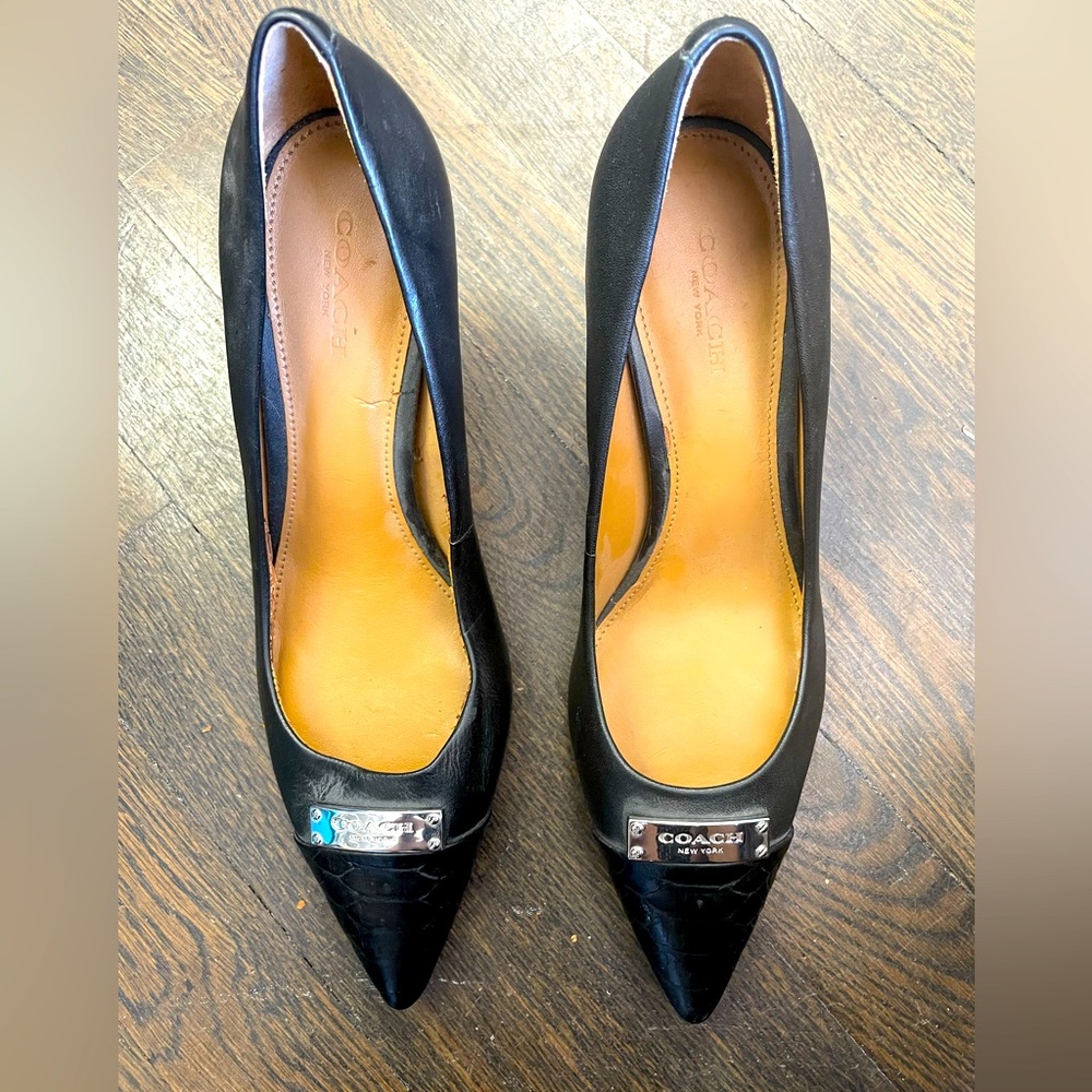 Coach Leather Point CapToe Heel